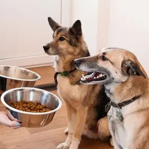 category Accessories