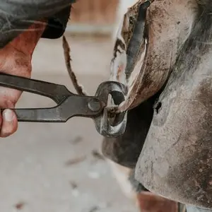 category Hoof Tools