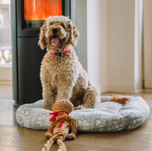 category Koše a polštáře