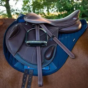 category Saddles