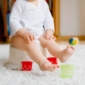 category Step Stools, Seats & Potties