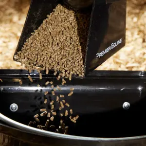 category Alimentação