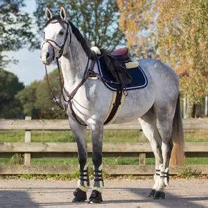 category The Performance Edit