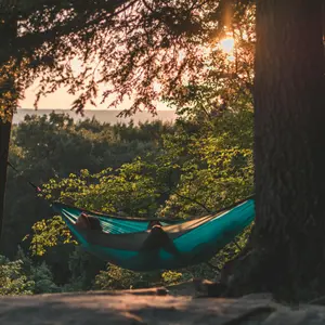 category Mattresses & Hammocks