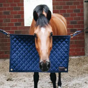 category Stable Maintenance