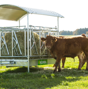 category For Breeding