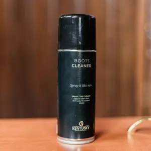 category Cleaning Products