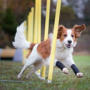 category Leg Protectors