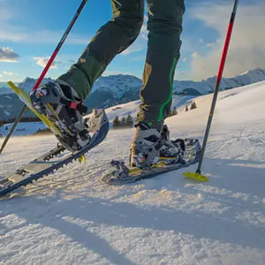 category Raquetas de nieve