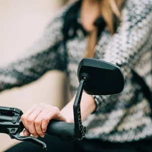 category Specchietti e campanellilli