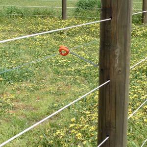 category Ribbons & Threads