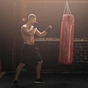 category Sacchi da boxe