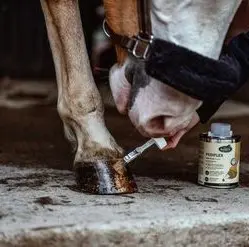 category Care & Bandages