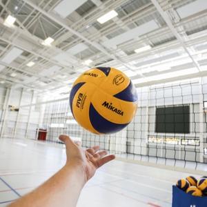 category Volleyballs