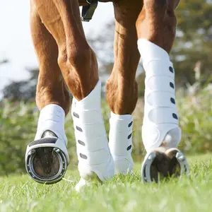 category Studs & Accessories