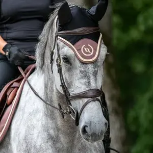 category Horse Blankets