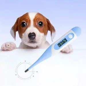 category Thermometers