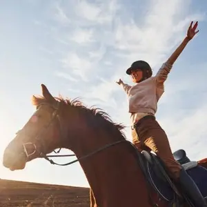 category Training Aids