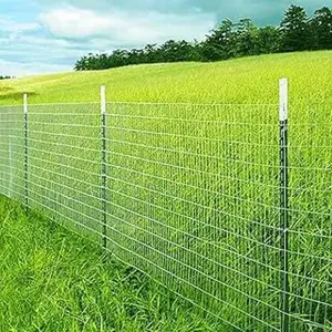 category Fencing Wire