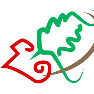 Basque Country's Jerseys