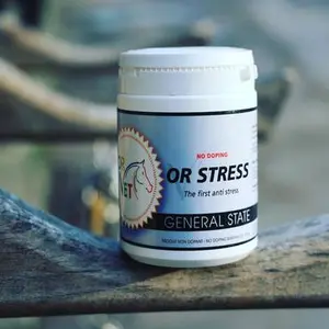 category Wohlbefinden