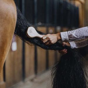 Brosses à crins