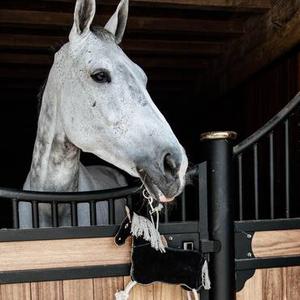 Horse Stable