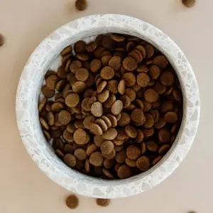 category Alimentación