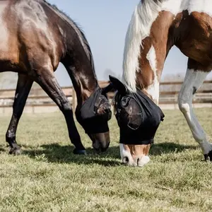 category Anti-Fly Masks
