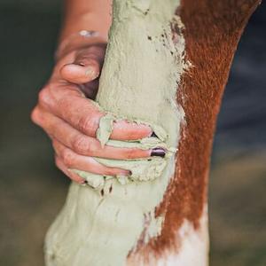 Limb Care
