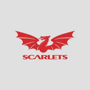 category Llanelli Scarlets