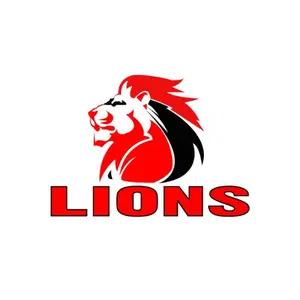 category Maillots Lions