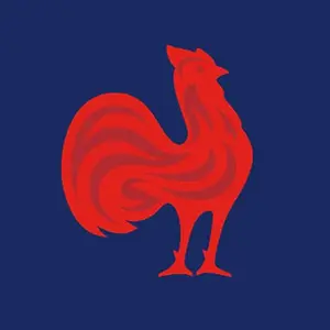 category French Rugby Team Jerseys