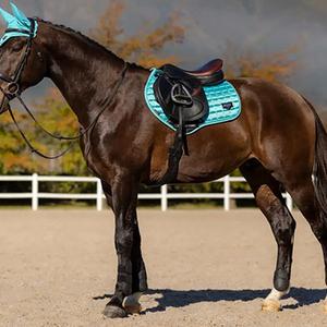 category Top Products