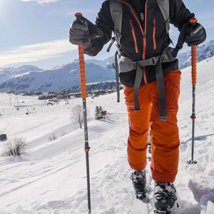 Ski Poles