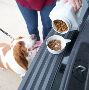  Dry Dog Food