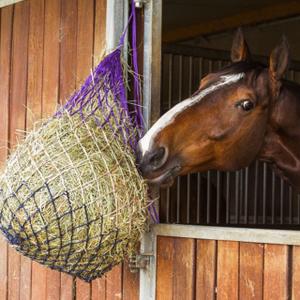 Nets & Hay Bags