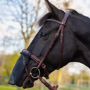 category Ogen/neuzen/oren