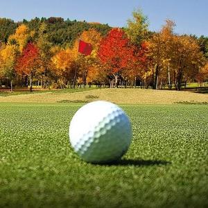 Golfbälle