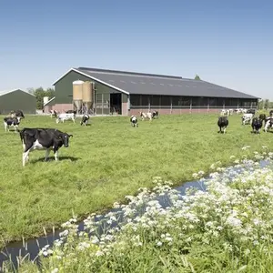 category De boerderij