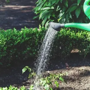 category Care & Watering