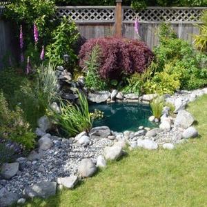 Water Bowls