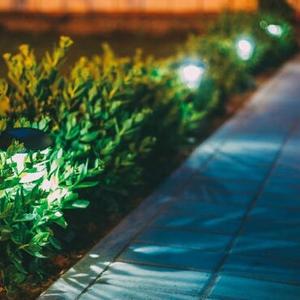 Lighting, Decorations & Food