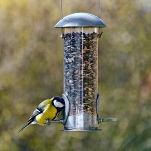 Fåglar och vilda djur