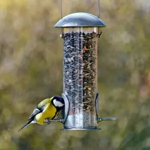 category Birds & Wildlife