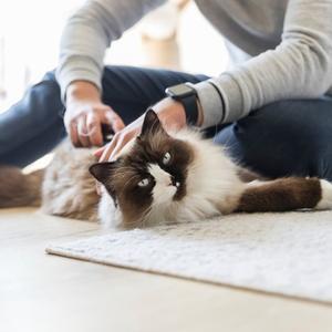 Grooming and Care