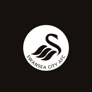 category Swansea City AFC