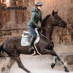 New Cavallo 