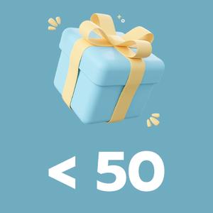 Idées cadeaux < 50