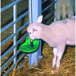 Feeding & Drinking Troughs
